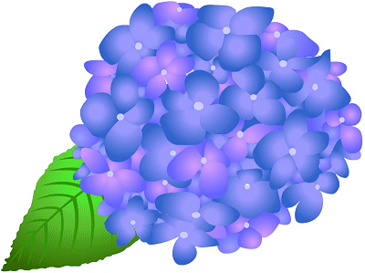 紫陽花 イラスト 仁誠会 熊本の人工透析 臨時透析 介護 リハビリ